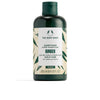 Ginger Acondicionador 250 Ml
