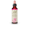 Bach Sweet Chestnut (Sweet Chestnut) 20 Ml