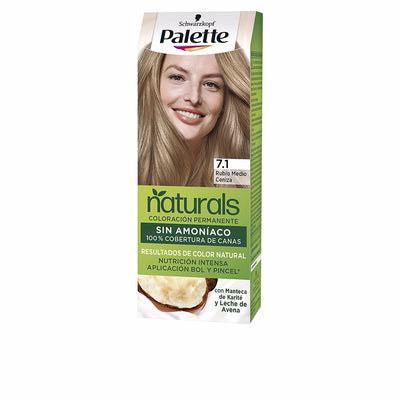 Palette natural väriaine #7.1-keskivaalea tuhka 1 kpl - PALETTE