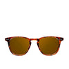 Wall tortoise polarized 1 u