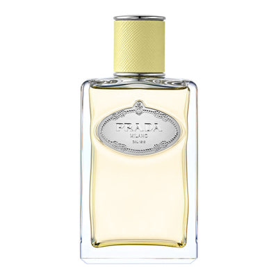 Gingembre Infusion Edp Vapo 100 Ml