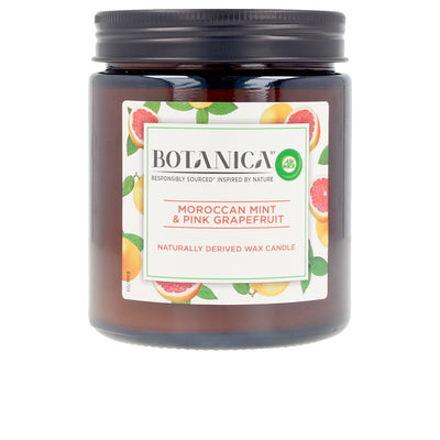 Botanica vela minttu & pinkki greippi 205 gr - AIR-WICK