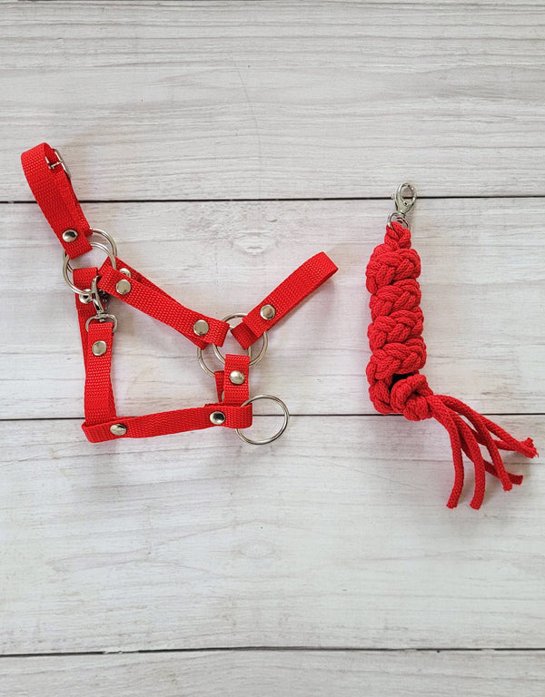 Super Hobby Horse - Hobby Horse riimusetti A3 + naruriimu punainen