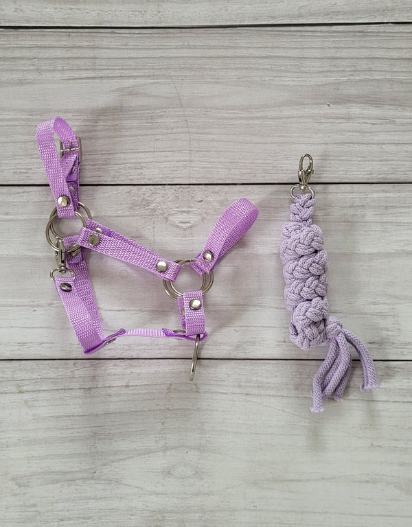 Super Hobby Horse - Hobby Horse A3 -riimu ja naruriimu, violetti