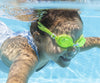 Vihreät Aqua Burst Uimalasit Polykarbonaattia