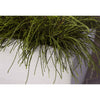 Capi Kukkalaatikko Arc Granite suorakaide 60x35x40 cm norsunluu - Vuodevaatteet