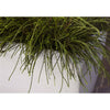 Capi Kukkalaatikko Arc Granite suorakaide 90x35x40 cm norsunluu - Vuodevaatteet