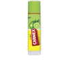 Carmex lime twist huulivoidepuikko spf15 4,25 g | Vuodevaatteet.fi