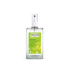 Citrus deodorantti 24h teho spray 100 ml