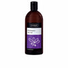 Lavender shampoo rasvoittuville hiuksille 500 ml