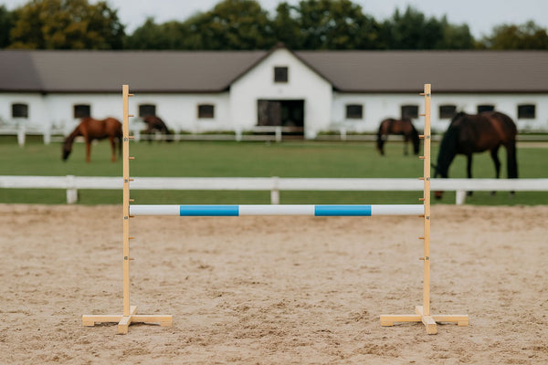 Super Hobby Horse - Hobby Horse hyppyeste 120 cm vaaleansininen