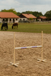 Super Hobby Horse - Hobby Horse este 120 cm, vaaleanvioletti puomi