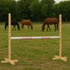 Super Hobby Horse - Hobby Horse -hyppyeste 120 cm, vaaleanpunainen puomi