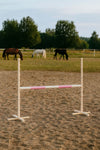 Super Hobby Horse - Hobby Horse hyppyeste - vaaleanpunainen - 120 cm