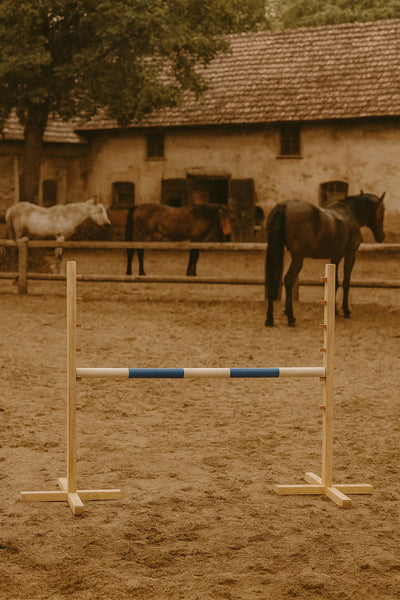 Keppihevosen este 120cm - Beam blue
