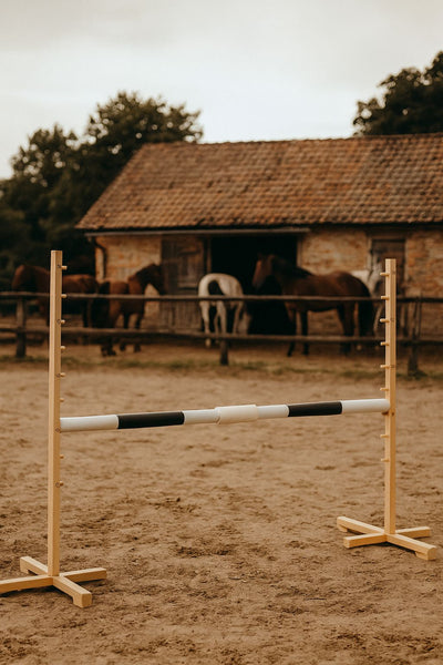 Keppihevosen este 160cm - Beam black