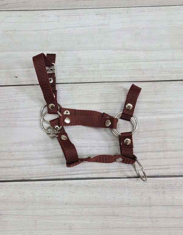 Super Hobby Horse - Hobby Horse -riimu A3 + narutalutin ruskea
