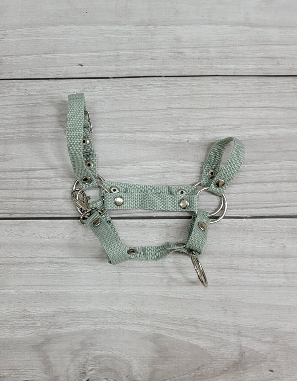Super Hobby Horse - Hobby Horse riimusetti A3 + naru nyöristä - salvianvihreä
