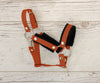 Super Hobby Horse - Hobby Horse A3 -riimu mustalla karvalla ja naruriimu musta-inkivääri