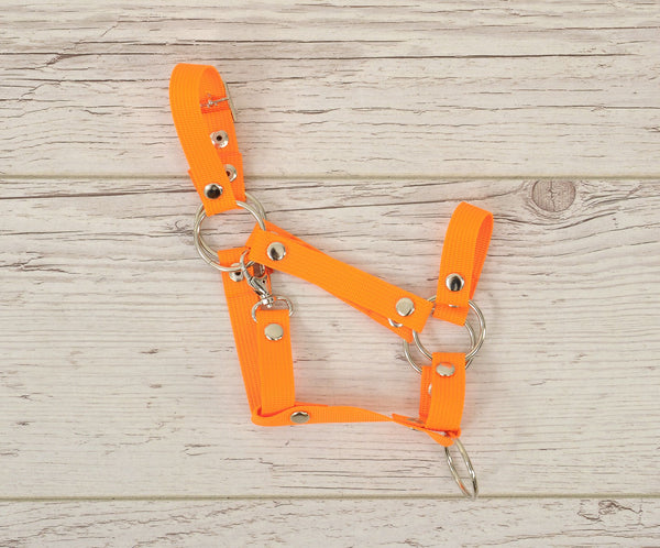 Super Hobby Horse - Säädettävä riimu Hobby Horse A3 - neonoranssi