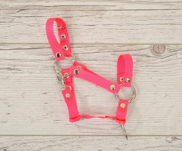 Super Hobby Horse - Säädettävä riimu Hobby Horse A3 neonpinkki