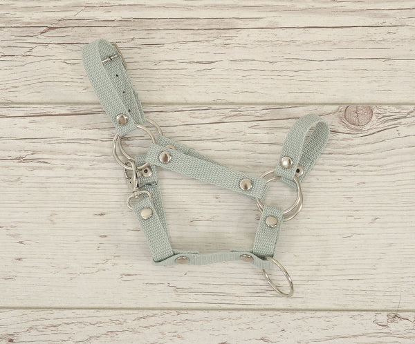 Super Hobby Horse - Säädettävä riimu Hobby Horse A3 - salvianvihreä