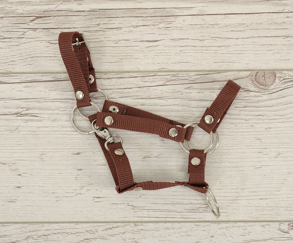 Super Hobby Horse - Säädettävät riimut Hobby Horse A3 ruskea