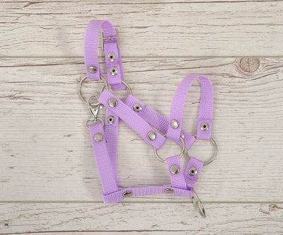 Keppihevosen Hihnat A3 - Purple
