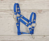 Keppihevosen Hihnat A3 - Blue