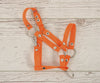 Keppihevosen Hihnat A3 - Orange