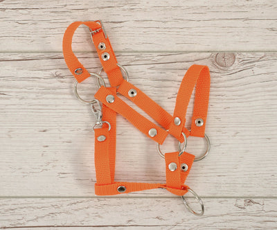 Keppihevosen Hihnat A3 - Orange