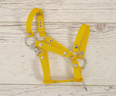 Keppihevosen Hihnat A3 - Yellow
