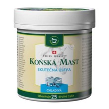 Herbamedicus - Horsehead viileä voide 250 ml