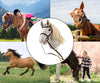 Milly Mally - Milly Mally Hobby Plus keppihevonen Light Grey