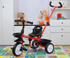 Milly Mally Tricycle Axel Red