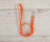 Keppihevosen Lead For Halter - Orange