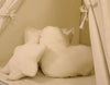 Baby Products - Lasten tiipii-teltta + leikkimatto + tyynyt + koristehöyhenet - beige