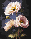 Elegant Poppies 40x50cm - Paint By Numbers
