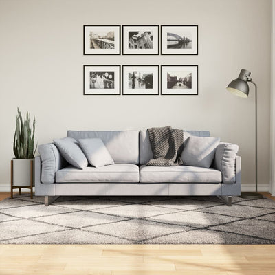 Pörrömatto korkeanukkainen beige ja antrasiitti 160x230 cm