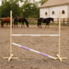 Super Hobby Horse - Hobby Horse -hyppyeste 120 cm, 2 puomia, beige ja vaaleanvioletti