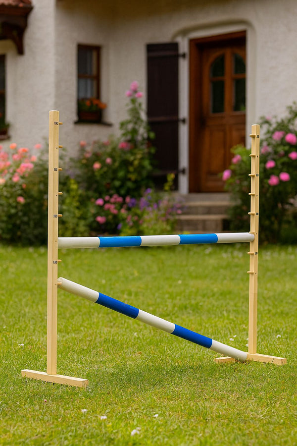 Super Hobby Horse - Hobby Horse -hyppyeste 120 cm, kahdella puomilla, vaaleansininen ja sininen