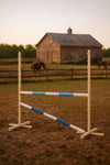 Super Hobby Horse - Hobby Horse -hyppyeste 120 cm, kahdella puomilla, vaaleansininen ja sininen