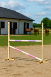 Super Hobby Horse - Hobby Horse -esterata 120 cm, kaksi puomia, vaaleanvioletti ja vaaleanpunainen