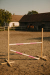 Super Hobby Horse - Hobby Horse estepuomi 120 cm, kaksi puomia, vaaleanpunainen ja pinkki