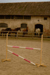 Super Hobby Horse - Hobby Horse estepuomi 120 cm, kaksi puomia, vaaleanpunainen ja pinkki