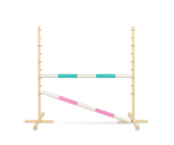 Super Hobby Horse - Hobby Horse -esterata 120 cm, kahdella puomilla, mintunvihreä ja vaaleanpunainen