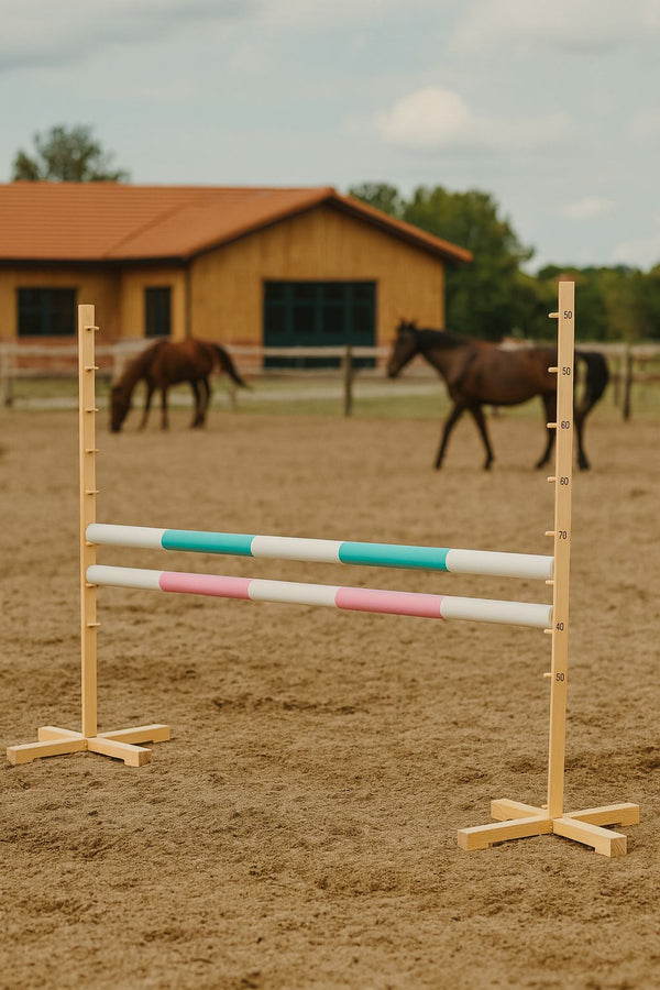 Super Hobby Horse - Hobby Horse -esterata 120 cm, kahdella puomilla, mintunvihreä ja vaaleanpunainen