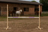 Super Hobby Horse - Hobby Horse estepuomi vaaleanvioletti 160 cm