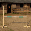 Super Hobby Horse - Hobby Horse hyppyeste minttu 160 cm