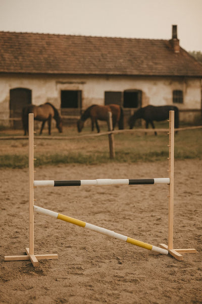 Keppihevosen este 160cm kahdella tangolla - Black and yellow